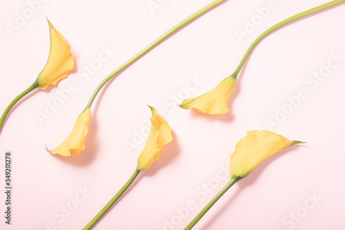 Summer concept. Border arrangement background.