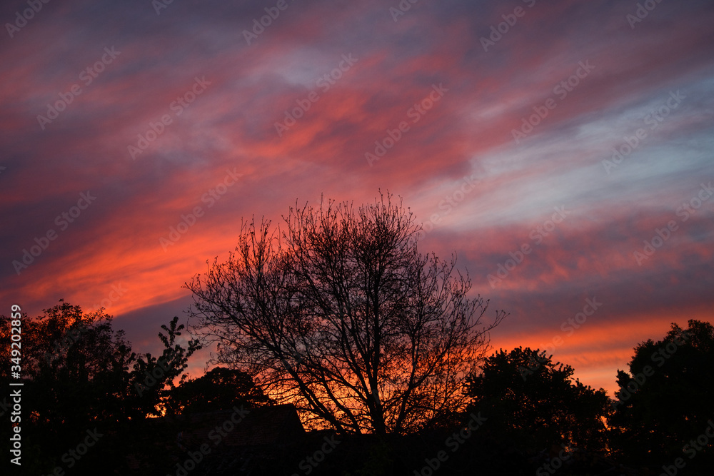 Brennender Himmel - Abendrot und romantischer Sonnenuntergang über Sträucher und Bäumen