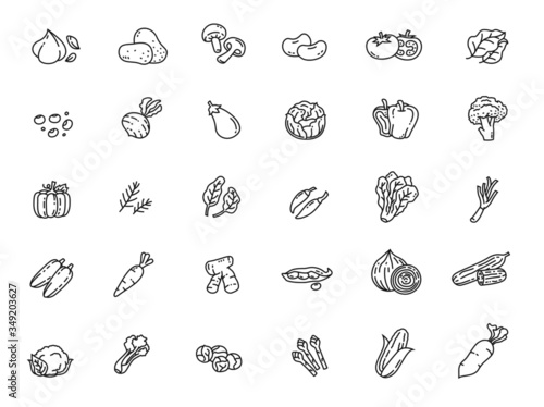 vegetable icon set, line design
