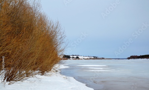 Fototapeta Naklejka Na Ścianę i Meble -  Spring landscape of the icy river