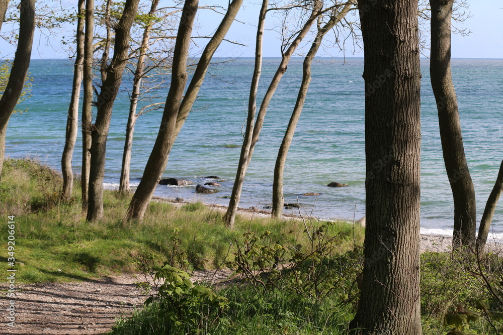 Obraz premium strand