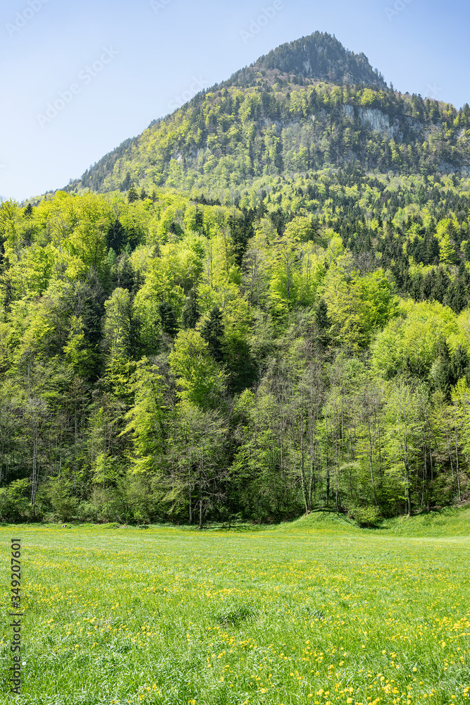 Obraz premium Stanserhorngebirge aus der Sicht des Engelbergertales, Kt. Nidwalden, Schweiz