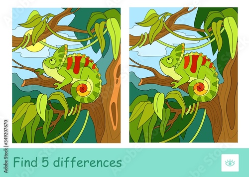 Find five differences quiz learning children game with image of a chameleon sitting on the tree in rainforest.