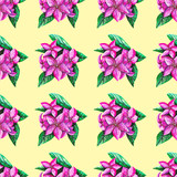 Pattern tropical pink flowers