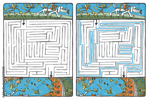 big labyrinth, maze, cats, pool, swim, humor, holiday, beach, float 