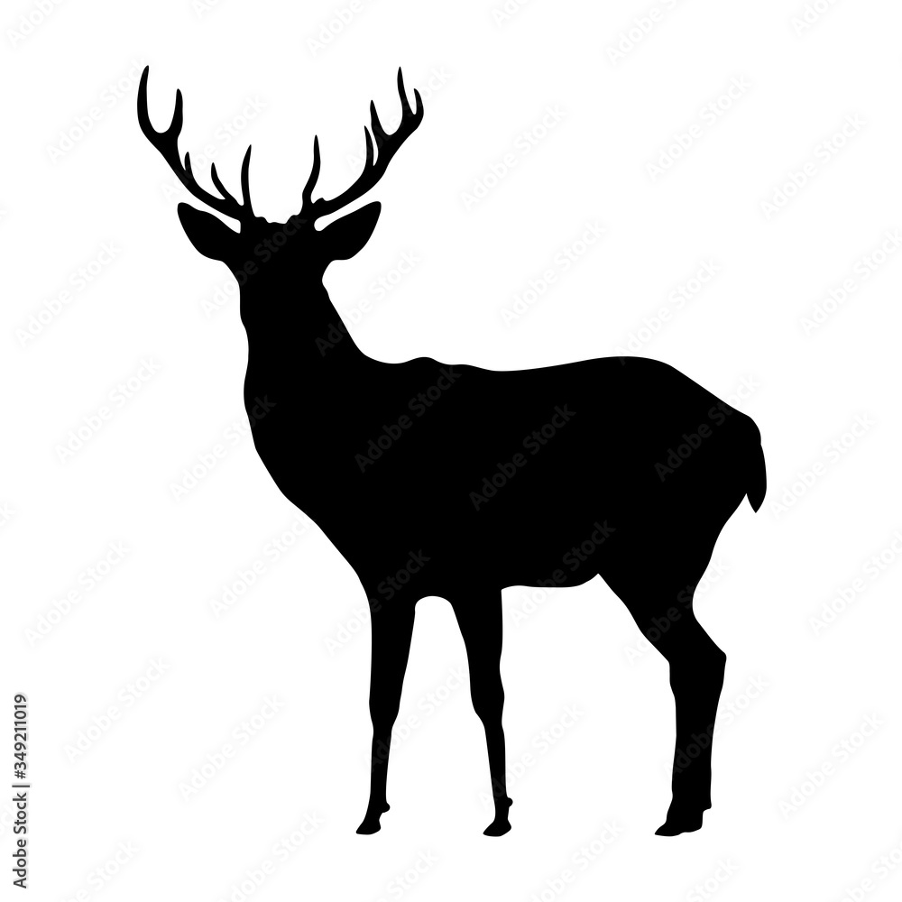Deer shape, vector design isolated on white background. Deer shape, vector design isolated on white background.