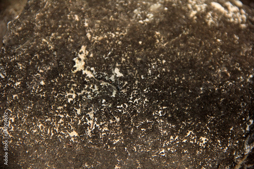 background macro texture of black stone with white spots