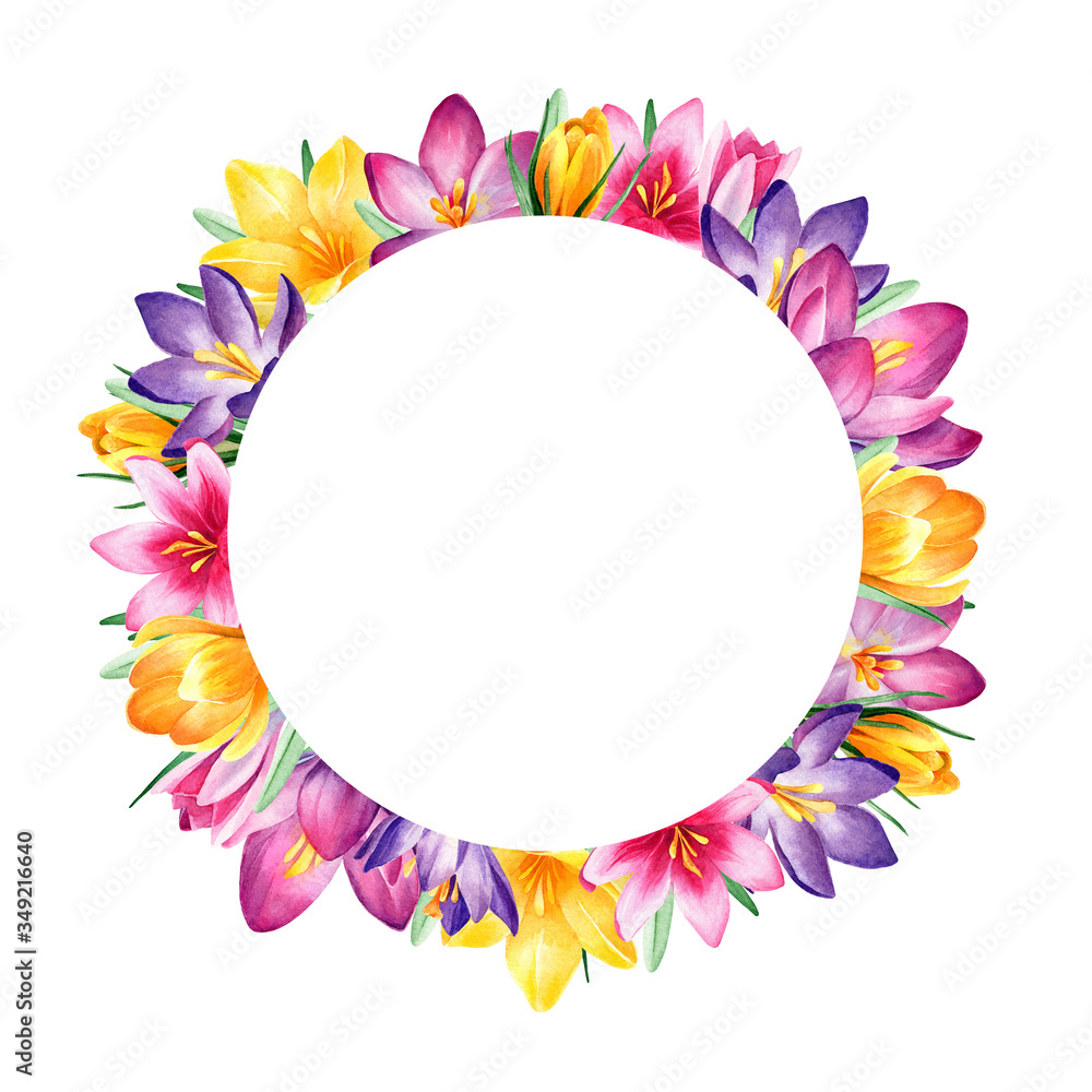 Watercolor round frame with yellow, pink, violet, purple crocuses on white background isolated. Nice design for spring, wedding, lovely cards and another printed products. Beautiful colorful element Watercolor round frame with yellow, pink, violet, purple crocuses on white background isolated. Nice design for spring, wedding, lovely cards and another printed products. Beautiful colorful element
