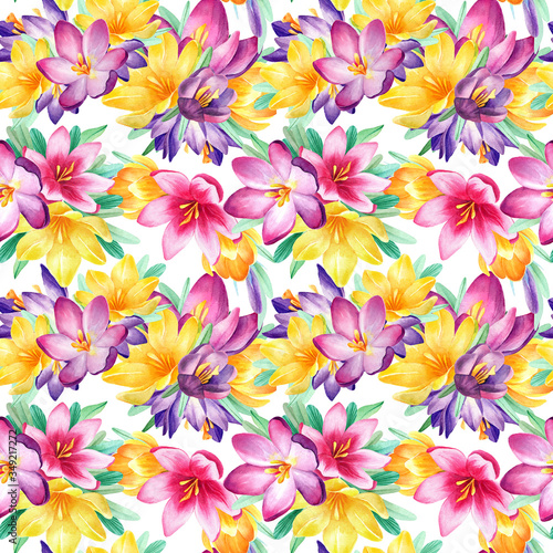 Seamless watercolor pattern with pink, purple, yellow, violet, orange crocuses on white background. Colorful, bright, spring flowers. Good texture for textile design and printed products design. 