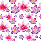Seamless watercolor pattern with pink, purple, violet crocuses on 
white background. Good texture for textile design and printed products design. Colorful, bright, spring flowers for your design.