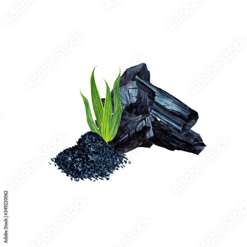 Charcoal and fresh plant. Natural cosmetic products illustration. Scrub and absorbent component with green leaves. Watercolor hand painted isolated elements on white background.