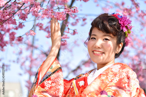 日本庭園の桜の花と色打掛を着た女性