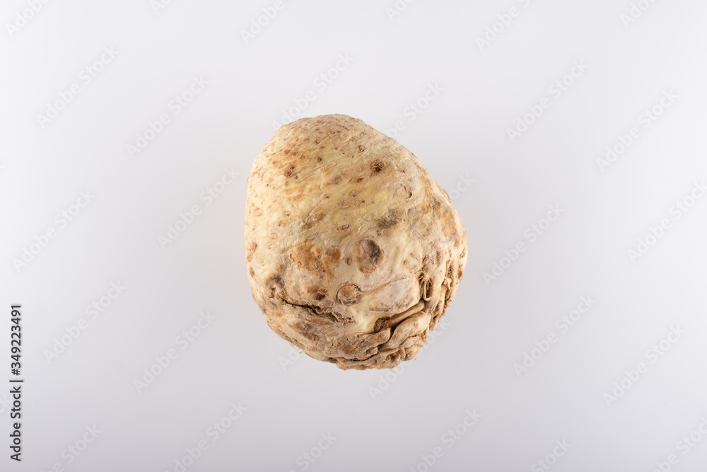 celery root close-up on a white background holland celery root close-up on a white background holland