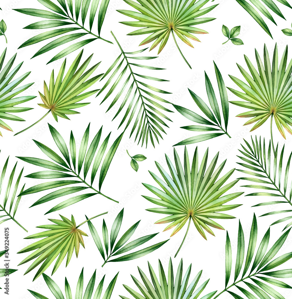 Watercolor tropical seamless pattern. Exotic palm, fan, coconut leaves isolated on white. Exotic foliage. Botanical hand drawn illustration for wedding, surface, textile, wallpaper design