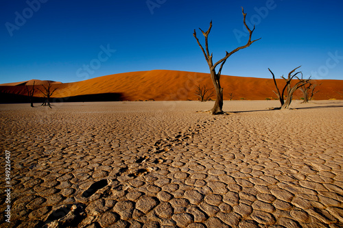 sossusvlei namibia, desert landscape photo