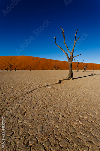 sossusvlei namibia, desert landscape