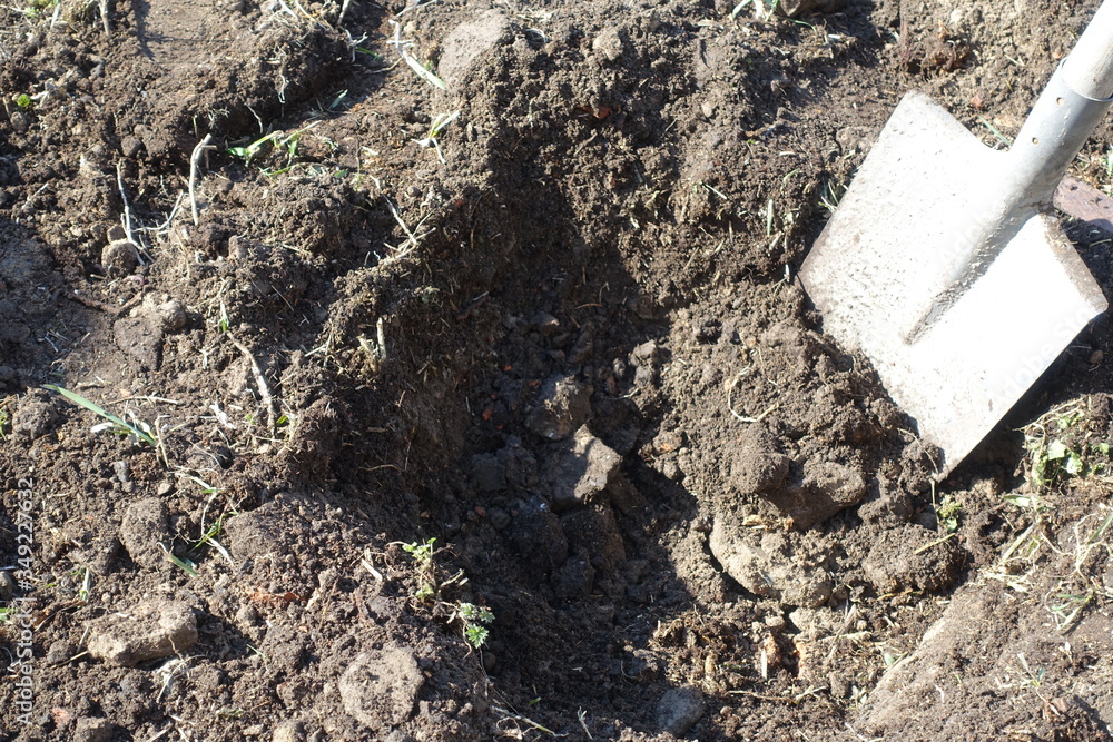 Gardener digging with garden spade in black earth soil. Farming