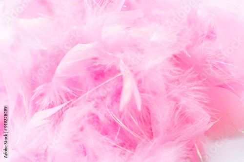 Pink feathers