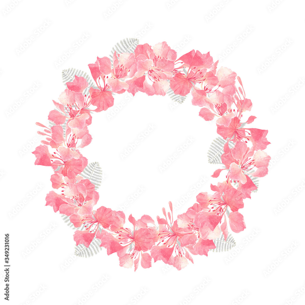 watercolor painting of Royal Poinciana  flowers arrange with circle shape on white background