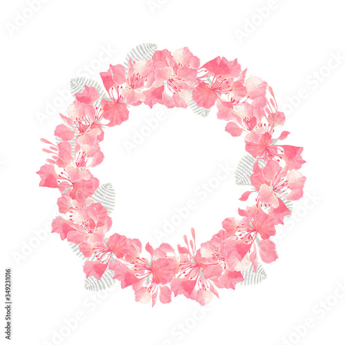watercolor painting of Royal Poinciana flowers arrange with circle shape on white background