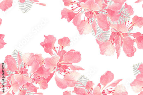 Seamless pattern of watercolor painting with Royal Poinciana flowers on white background