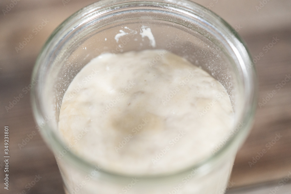 Sourdough starter Sourdough starter