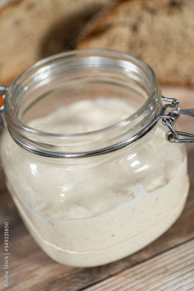 Sourdough starter Sourdough starter