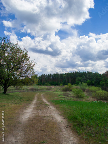  country road in the countryside