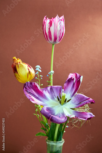 beautiful bouquet of colorful tulips in a glass vase.