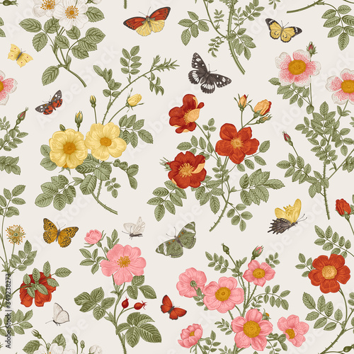 Vintage floral illustration. Seamless pattern. Wild Roses with butterflies. Black and white and yellow. ..