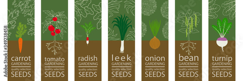 Série d’étiquettes de différents légumes pour des graines à planter dans votre jardin - carotte, tomate, radis, poireau, oignon, haricot vert, navet.