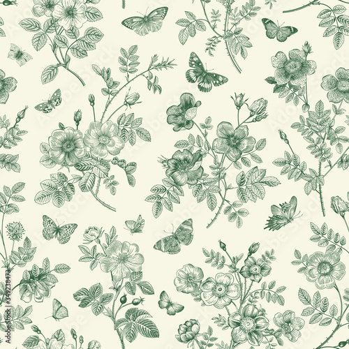 Vintage floral illustration. Seamless pattern. Wild Roses with butterflies. Green and white. Toile de Jouy.