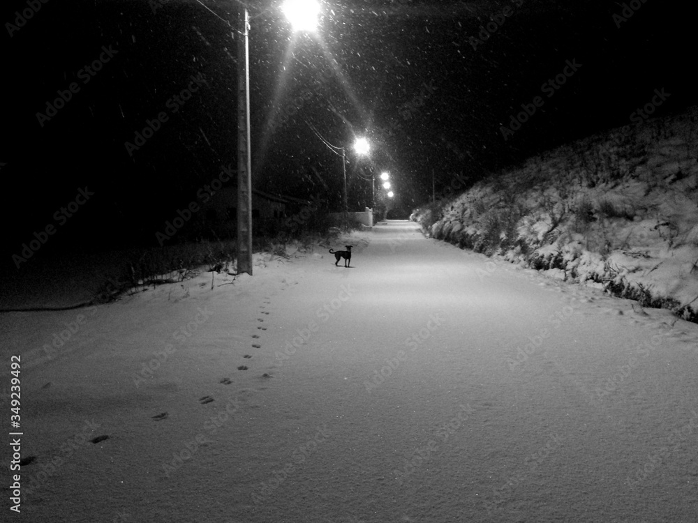 Snowing On Illuminated Road At Night