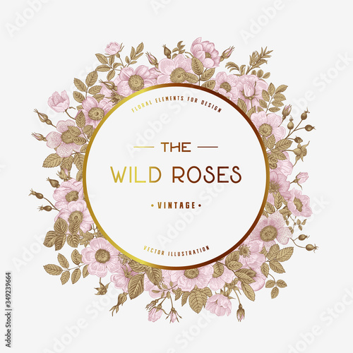 Round frame with wild roses. Vector vintage floral illustration.