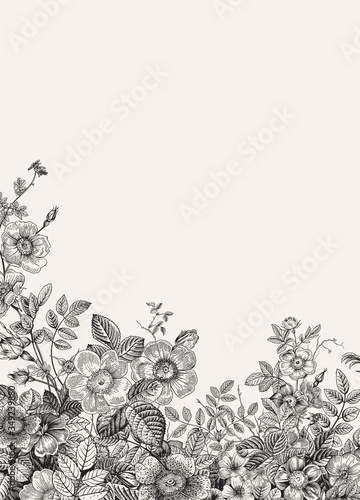 Border with wild roses. Vector vintage floral illustration. Black and white