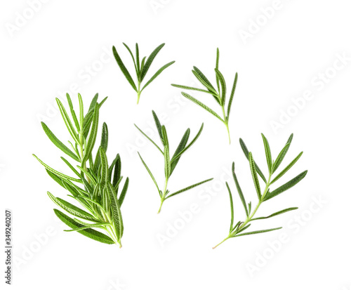 Rosemary isolated on white background