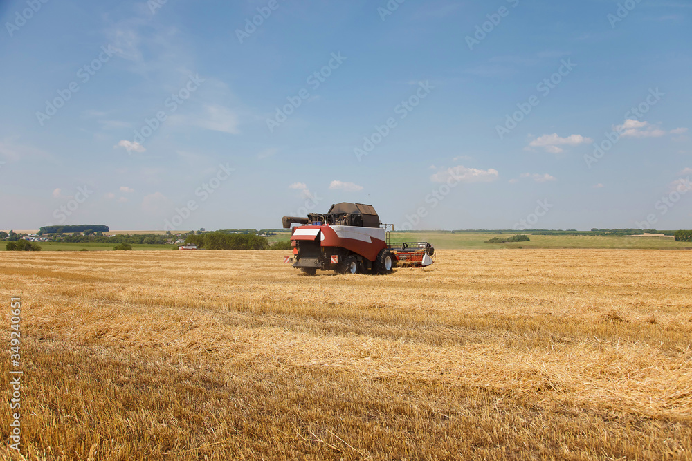 Fototapeta premium combine harvester on a wheat field