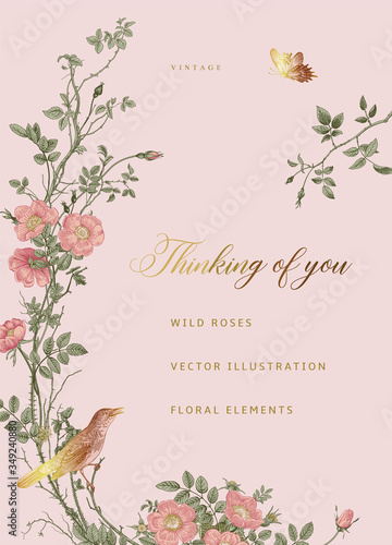 Card with wild roses. Vector vintage floral illustration. Thinking of you. Pink and gold