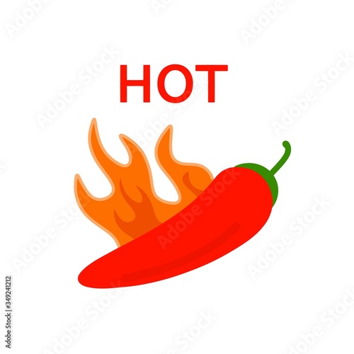 Hot chili pepper. Raster illustration