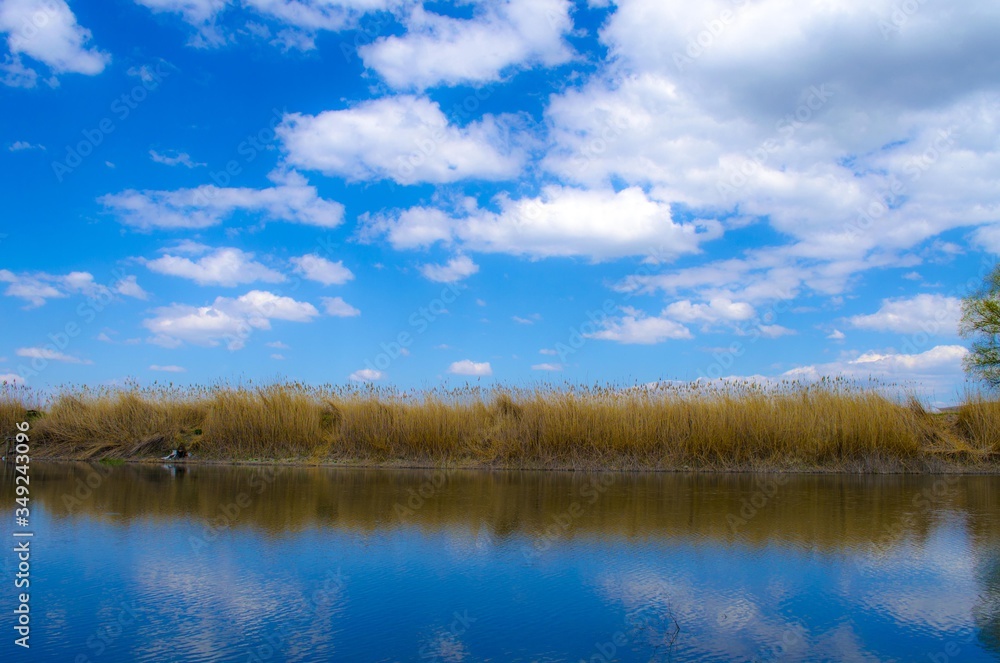 pond in spring pond in spring