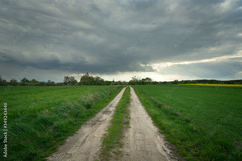 A dirt road surrounded by green fields, the horizon and dark rain clouds A dirt road surrounded by green fields, the horizon and dark rain clouds