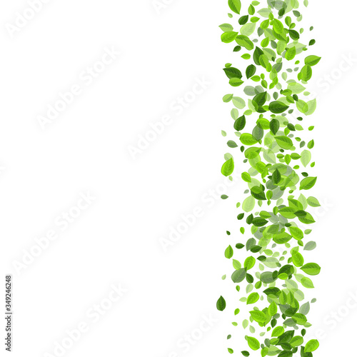 Swamp Leaves Realistic Vector Banner. Nature 