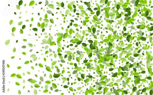 Swamp Foliage Organic Vector Pattern. Swirl Leaf 