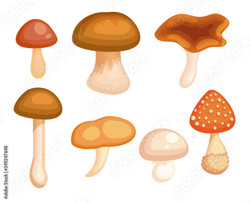 Cartoon mushroom set. Isolated fungi vector illustration collection. Forest fresh food clipart