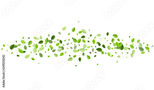 Olive Leaf Organic Vector Wallpaper. Falling 