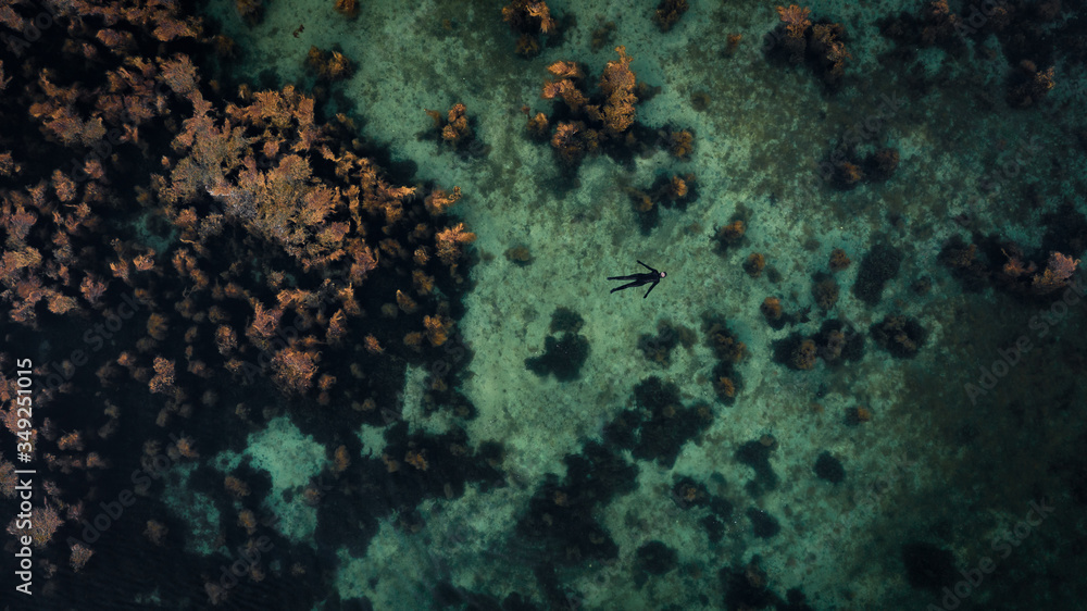 Obraz premium Aerial picture of a floating person in a wetsuit who is a freediver. swimming in the turquoise sea. Seaweed all around the sea. Vacation Activity. Calm sea and atmosphere.