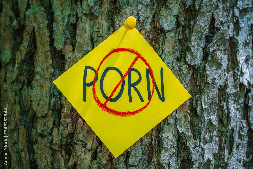 on tree bark stickers with NO PORN inscription
