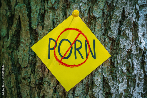 Obraz na płótnie on tree bark stickers with NO PORN inscription w salonie