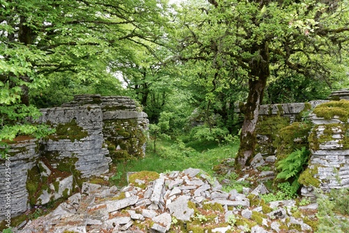 Griechenland - Steinwald nahe dem Aussichtspunkt Oxia bei Monodendri im Pindos-Gebirge photo