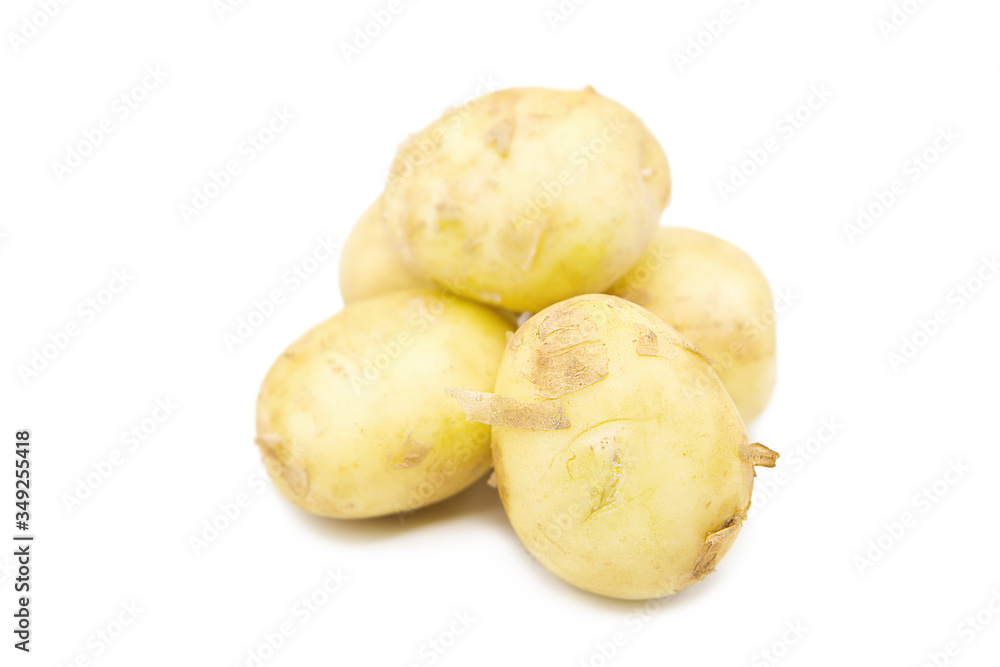 New organic potato isolated on white background New organic potato isolated on white background
